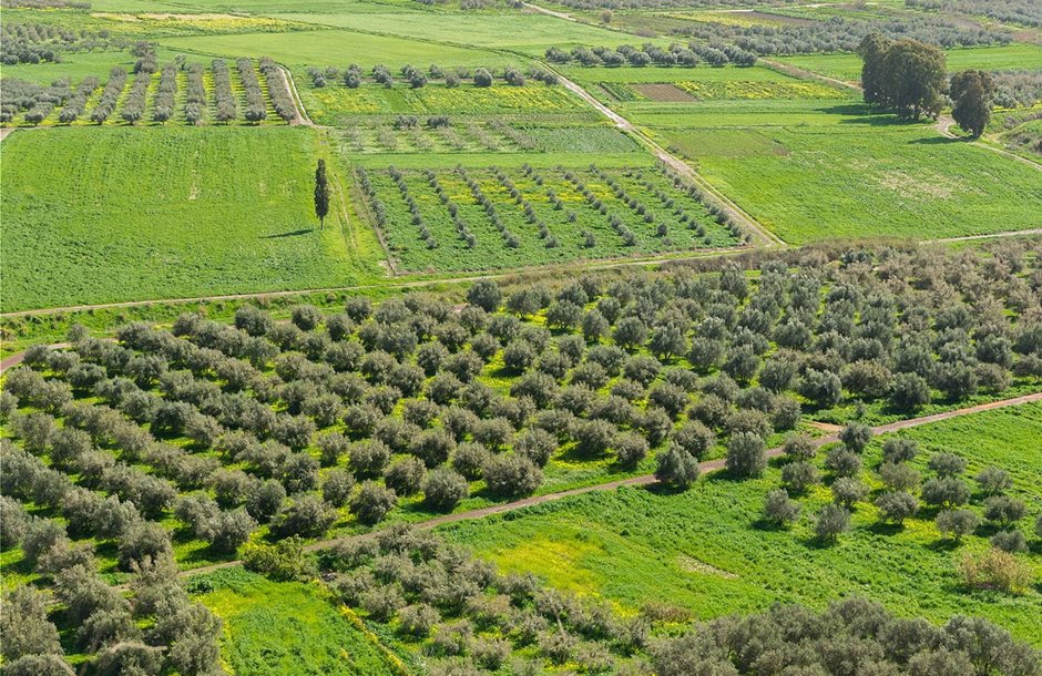 Οι αγρότες χάνουν την επιδότηση των βιολογικών προϊόντων για το 2024